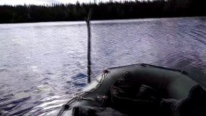 РЫБАЛКА В ПИНЕЖСКОМ РАЙОНЕ 01.07.2020