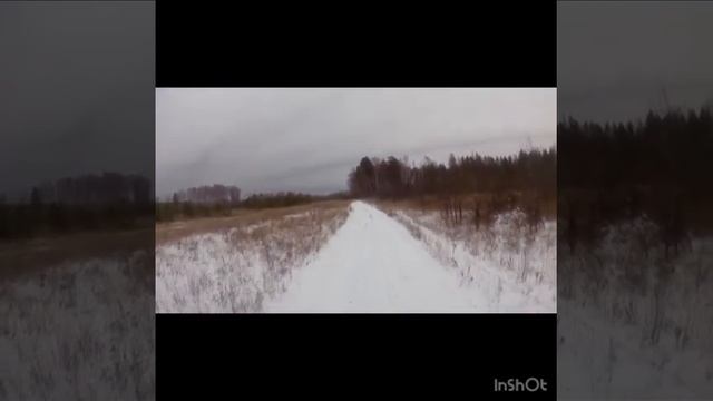 Рм 650-2 покатушки за дровами смотреть онлайн