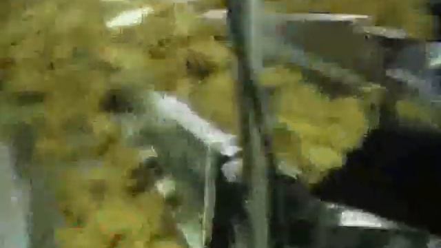 Вертикальная упаковочная машина - вертикалка - упаковка печенья в пакеты из пленки - MVI 0872 смотреть онлайн