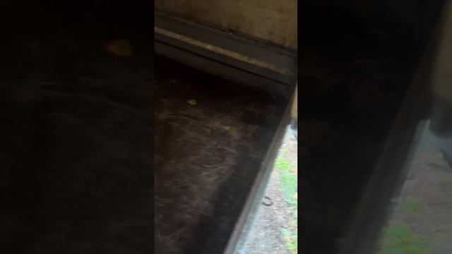 Честный отзыв о прицепах экспедиция. ТЕНТ.