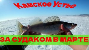 Камское Устье рыбалка в марте на судака и берша 2022г. Обзор приманок для судака и берша в Камском.