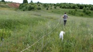 КУПИЛИ ДОМ В ДЕРЕВНЕ. ВЫКОПАЛИ ПЕРЕХОД ЧЕРЕЗ БОЛЬШОЙ ОВРАГ НА ПАСТБИЩЕ