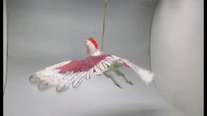 Летающие птицы / Орёл / Попугай / Единорог / Игрушки интерактивные / Летающие игрушки