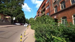 ПРОГУЛКИ ПО КАЛИНИНГРАДСКИМ УЛИЦАМ // ПЕРЕЕЗД В КАЛИНИНГРАД //ГДЕ КУПИТЬ КВАРТИРУ В КАЛИНИНГРАДЕ