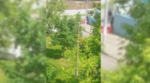 В районе Кунцево неизвестный в черной балаклаве открыл стрельбу