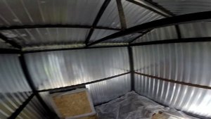 подготовка и хранение свеклы моркови на зиму