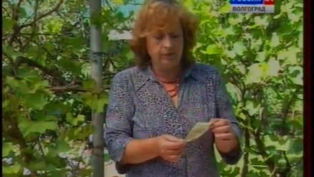 Стимуляторы плодообразования.