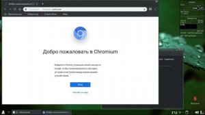 Debian.ч10. Chromium и флешплееры