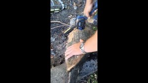 Возможности аккумуляторной цепной мини-пилы Диолд АПЦЭ-20ЛИ-02