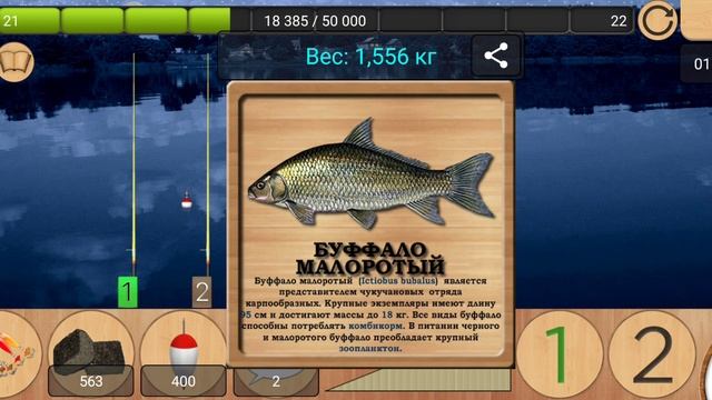 _Реальная рыбалка_Турнир (Озеро у деревни/Буффало малоротый/Точный вес) 3-е место_ смотреть онлайн