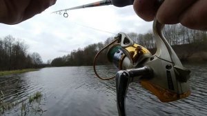 Апрельские щуки на старице Немана. Рыбалка в апреле.