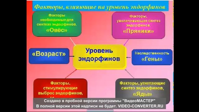 Что Делать При Варикозе смотреть онлайн