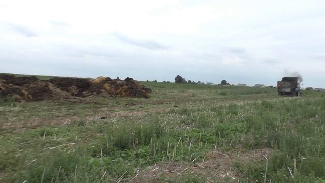 вывоз навоза в поле тракторами МТЗ.машинами МАЗ. 2021 смотреть онлайн