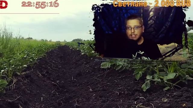 014 Что лучше ЗАВАРИВАНИЕ или Капсулы? Пара Слов про ЕЖОВИК смотреть онлайн