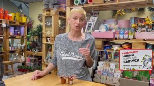 Криптантус Пинк Стар - эффектная миниатюрная бромелия | Земляная звезда