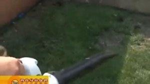 ремонт садового пылесосы и воздуходувки