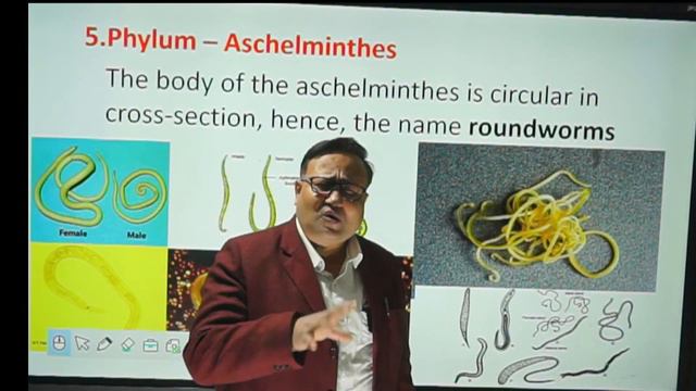 Animal Kingdom 6 смотреть онлайн