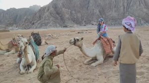 Экскурсии в ЕГИПТЕ пустыня, квадроциклы, верблюды, деревня бедуинов