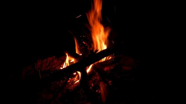 Судак Волчихинского водохранилища.