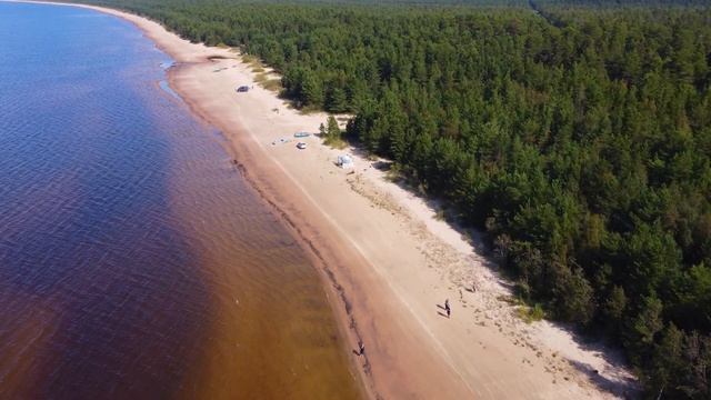 Ладожское озеро видео с дрона/ DJI Mini 2 Видео/ 4К съёмка
