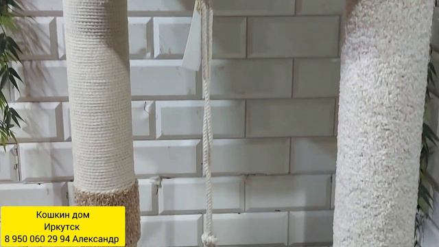 Кошкин дом Иркутск смотреть онлайн