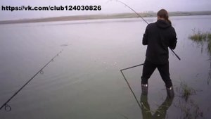 Вываживание карпа подсаком