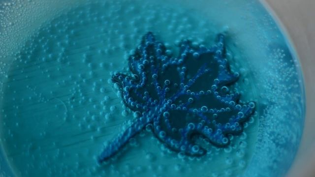 Процесс изготовления кленового листика из меди смотреть онлайн