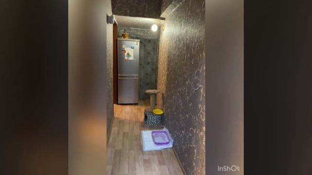 3 комнатная квартира в Москве смотреть онлайн