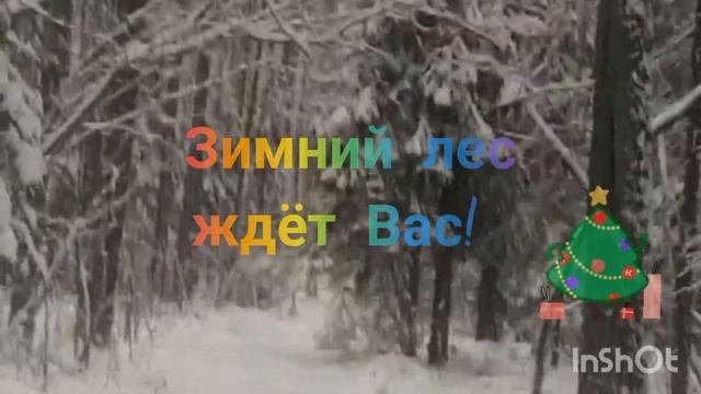 Новый Год с огоньком в снежном лесу. Приглашаем в экспедицию!
