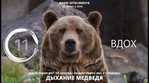 ДЫХАНИЕ МЕДВЕДЯ ( ДЫХАНИЕ СИЛЫ)