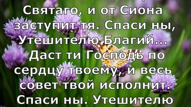 Неделя 8-я по Пасхе, Пятидесятница, День Святой Троицы. (Текст). смотреть онлайн
