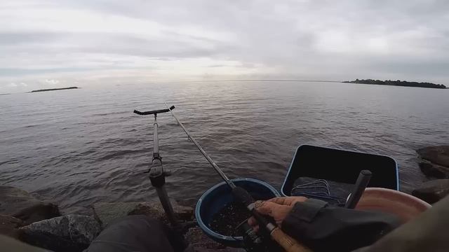 Рыбалка с продукцией ФЛАГМАН . Северная дамба ФЗ . Июнь 2018 г смотреть онлайн