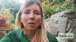 Серия 2. Описание функций: Физика, Воля, Эмоция и Логика