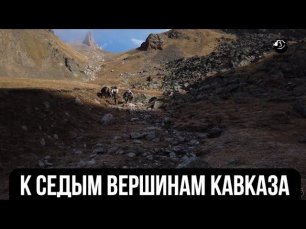 К седым вершинам Кавказа // Охотничьи истории 7 сезон
