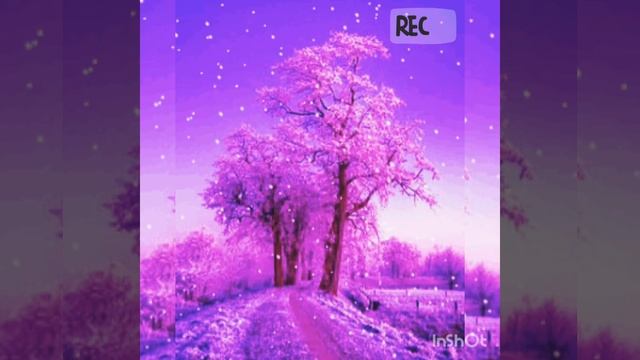 Цветение дерева зимой смотреть онлайн