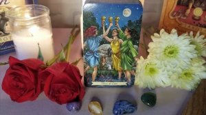 Everyday Witch Tarot | Flip Through