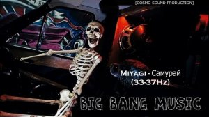 Miyagi - Самурай [33-37Hz]