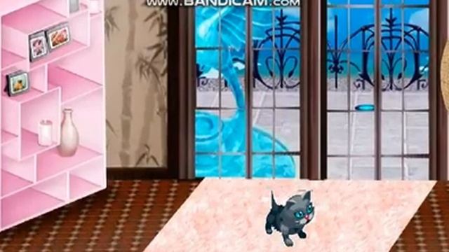 Парень подарил девушке котёнка.... смотреть онлайн