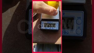 диплоидная алыча 'Голден Плюмза'