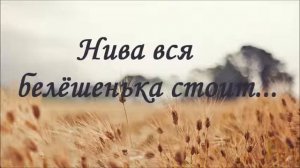Красивая песня  "Нива вся белёшенька стоит" | Трио Мулык