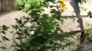 когда на телефоне остался 1 процент зарядки