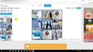 Как сделать коллаж онлайн из фотографий | PingviTech