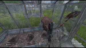 Как выжить если напал медведь в DayZ и нет оружия