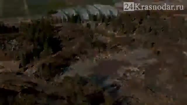 Японский сад будет смотреть онлайн