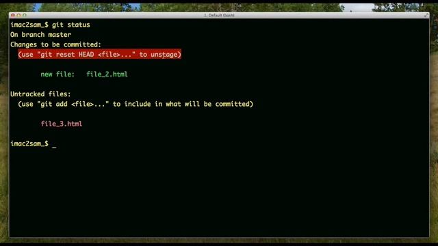 Git Status Command and Placing New Files in Repository смотреть онлайн