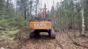 Отгрузка лесного экскаватора SANY SY245F с харвестерной головкой