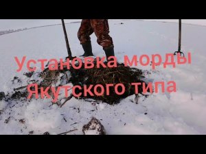 поставил морду , и наловились ...