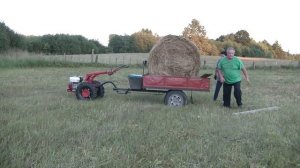 Возим рулоны сена на мотоблоке МТЗ-09Н.