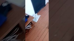 как сделать водяной пистолет с своими руками (DIY) очень легко и быстро
