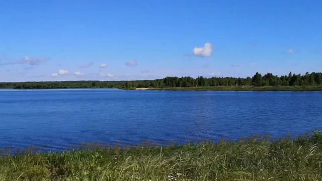 Первая наша поездка в "Орловское полесье".